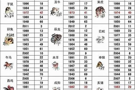 49岁属什么生肖2023|2023年49岁属什么生肖